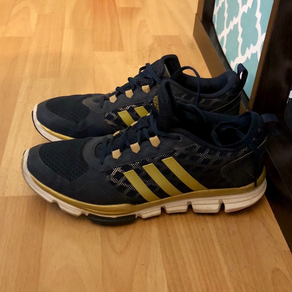 Adidas Workout Shoes